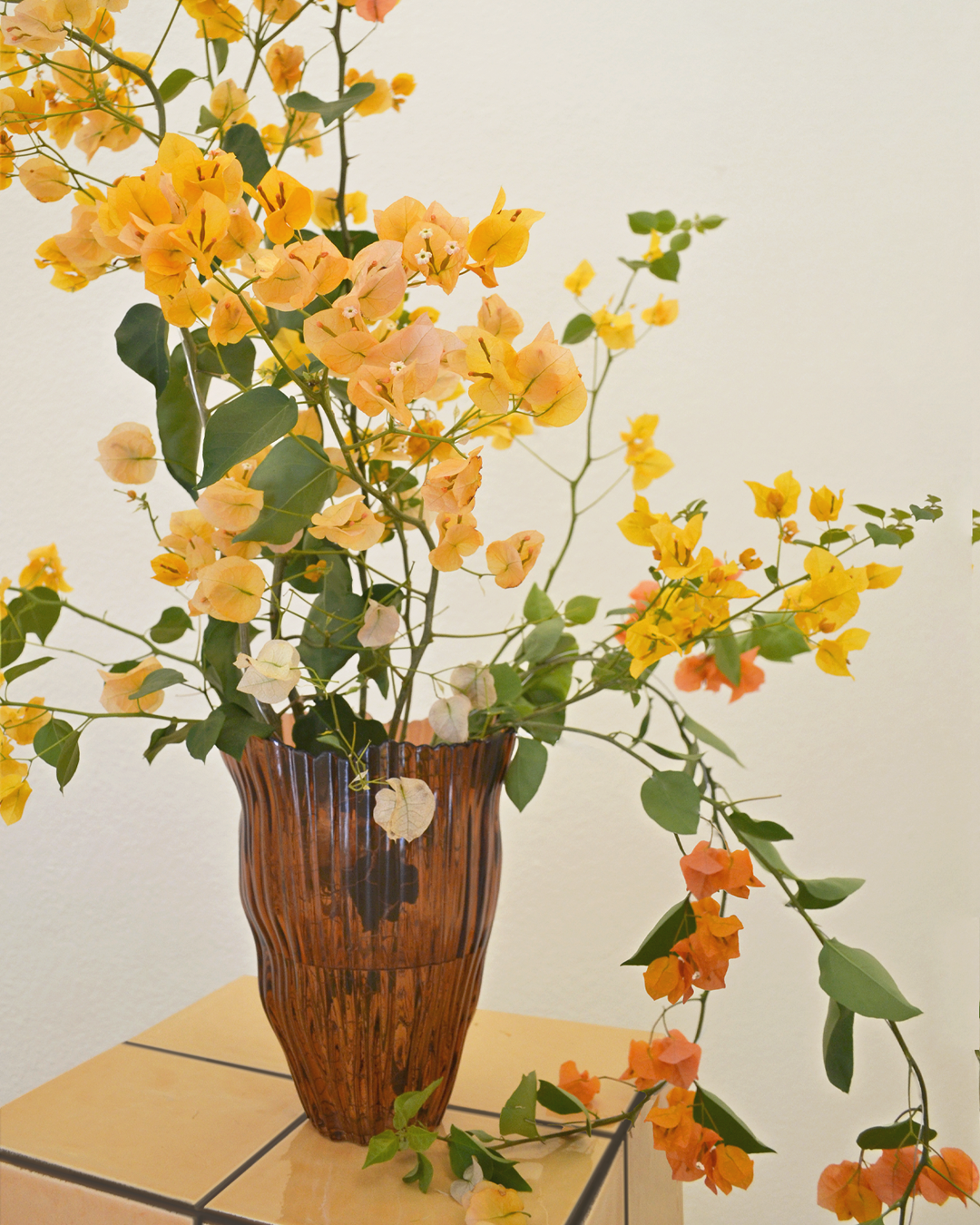 Pepe Revenga Estudio interiorismo Alicante RBT ballet 4